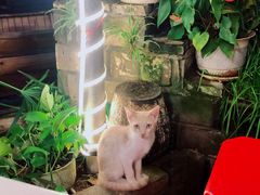 -Sasa的海(蜈支洲岛后海店)