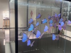 -酷嗒动物文化乐园(cutezoo西溪乐天城店)