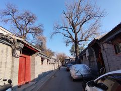 -丽江庭院·云南野生菌·海鲜火锅(鼓楼四合院店)