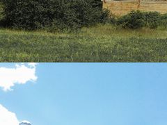 -黄龙山原始森林景区