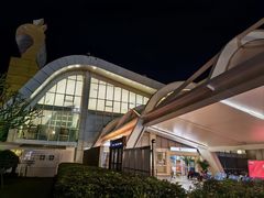 -德宏芒市国际机场