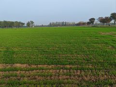 -汉长安城未央宫国家考古遗址公园