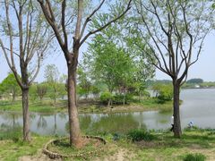 -东郊湿地公园