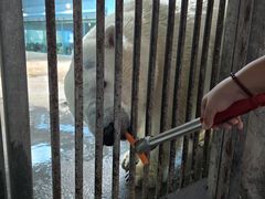 -泉城欧乐堡水上世界