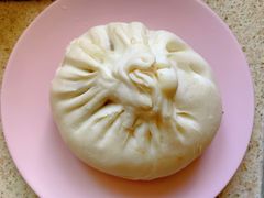 鲜肉大包-白玉兰食品(甜云店)