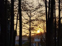 -四海公园(南山区)