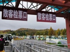 -汤旺河林海奇石景区