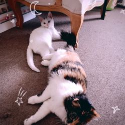 -尚美日式美甲美睫工作室