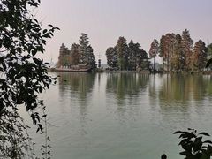 -东湖落雁景区
