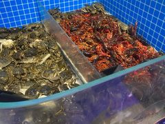 水产区-乔哥铭洋海鲜自助(皇城恒隆广场店)