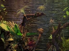 -泰适SPA馆丨精油·按摩·足道(后海地铁口店)