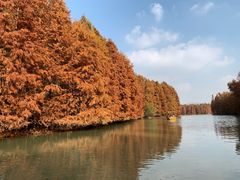 -上海海湾国家森林公园