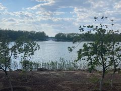 -大兴滨河森林公园