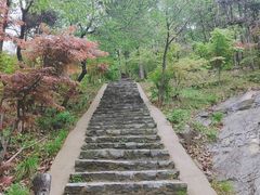 -大伊山景区