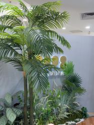 -八佰伴8008星级形象店