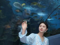 -合肥海洋世界