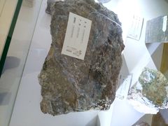 -甘肃地质博物馆