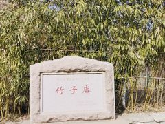 -竹子庵公园