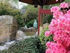 -金孔雀温泉旅游度假村