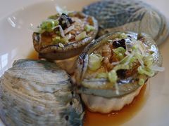 豉味新西兰黑金鲍豆腐-宝丽轩中餐厅BAOLIXUAN