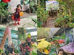 -正佳雨林生态植物园