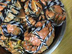 -七的湖·晚芳亭·阳澄湖农家菜·大闸蟹(莲花岛店)