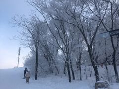 -中旅松花湖滑雪场