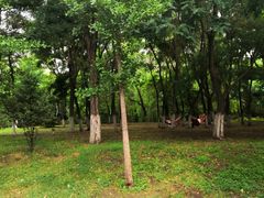 -长白岛森林公园