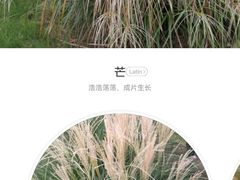-贡湖湾湿地公园