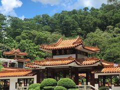 -深圳仙湖植物园