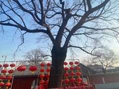 -丰台药王庙