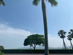 -黄金海岸环岛路