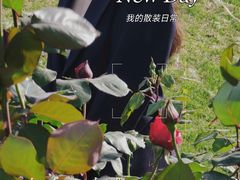 -上海辰山植物园
