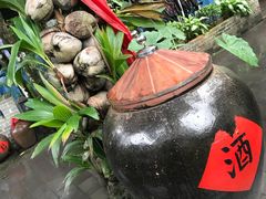 -农厨好味·温泉鹅·农家菜