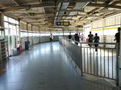-望京西(地铁站)
