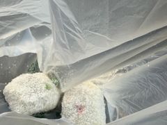 -清真·白记年糕(牛街北口店)