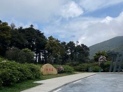 -梧桐山风景名胜区