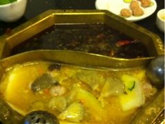 -蜀九香火锅(彩虹店)