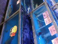 -八仔大富楼·河鲜(西江店)