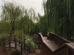 景点-竹子庵公园