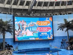 -海合安成都极地海洋公园
