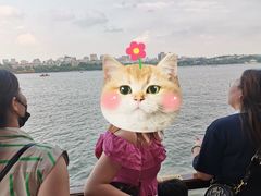 -西湖游船