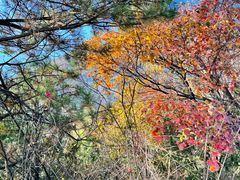 -玉渡山自然风景区