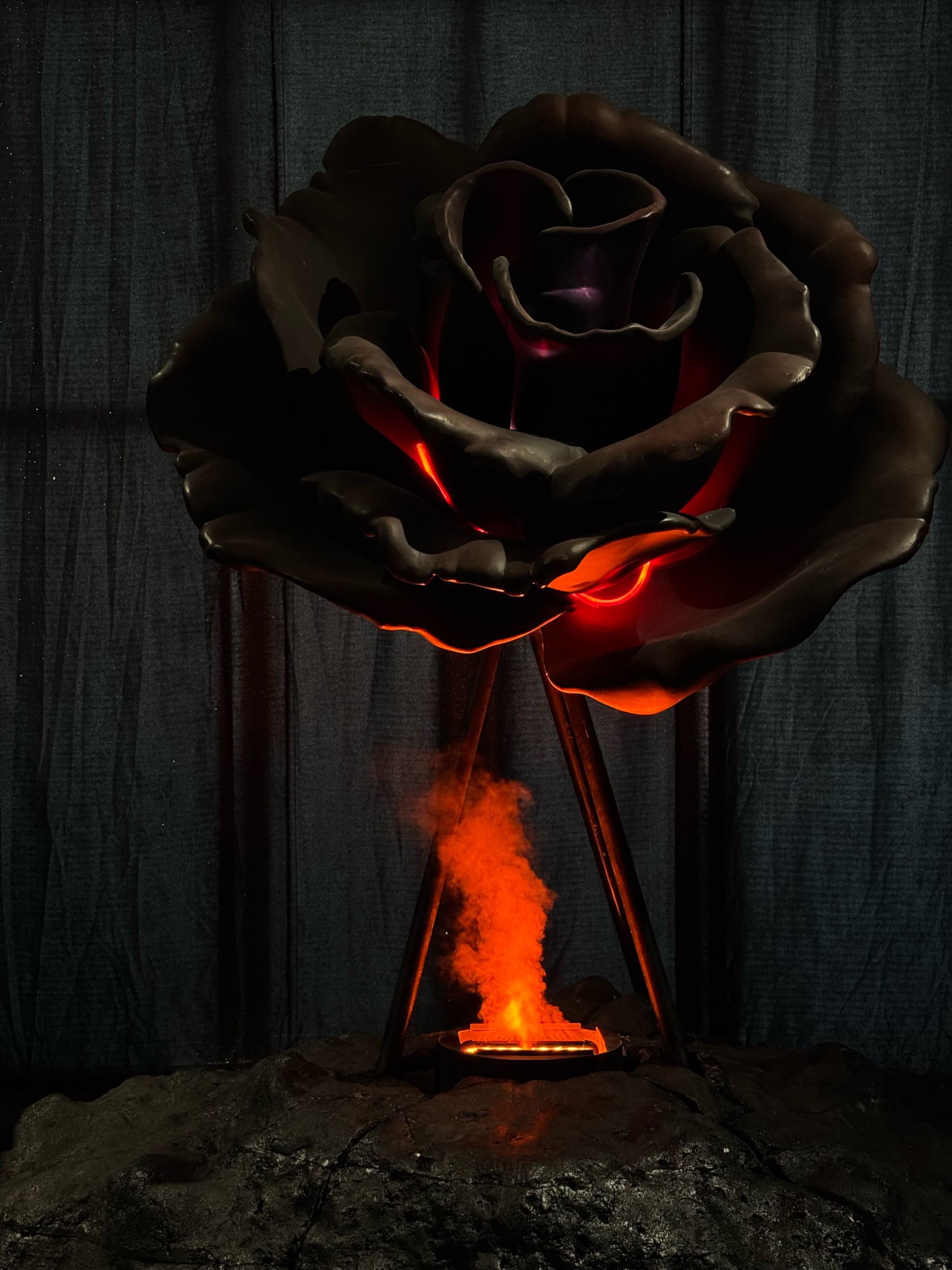 🖤🥀西安新展