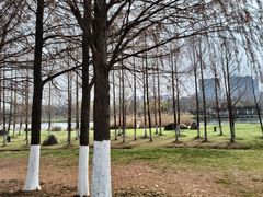 -滨湖塘西河公园