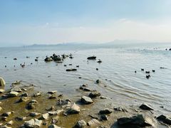 -深圳湾公园(南山区)