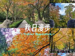 -灵谷景区