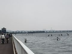 -厦门园林博览苑