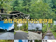 -汤旺河林海奇石景区