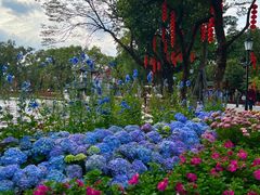 -荔湾湖公园